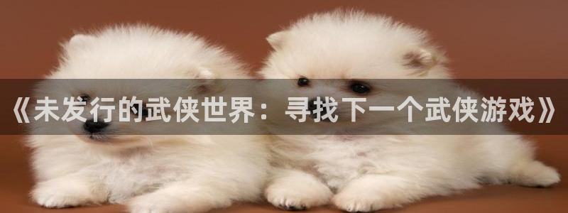 新城平台代理注册