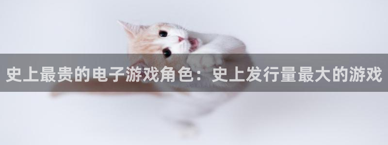 新城平台平台最新活动消息