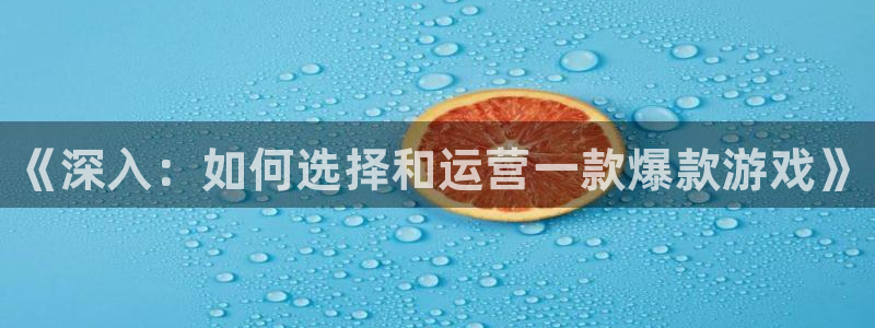 新城平台代理注册公司