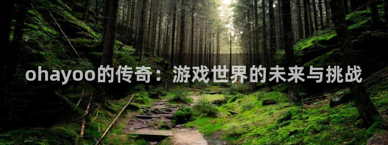 新城平台价7O777：ohayoo的传奇：游戏世界的未来与挑战