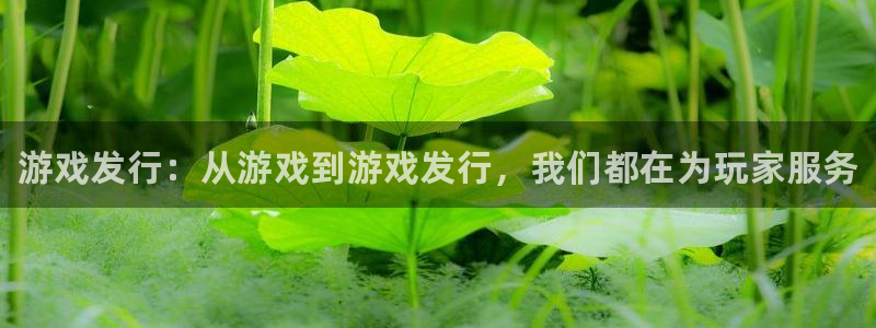 新城平台绝7O777