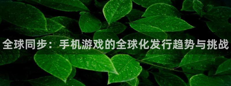 新城平台是干嘛的