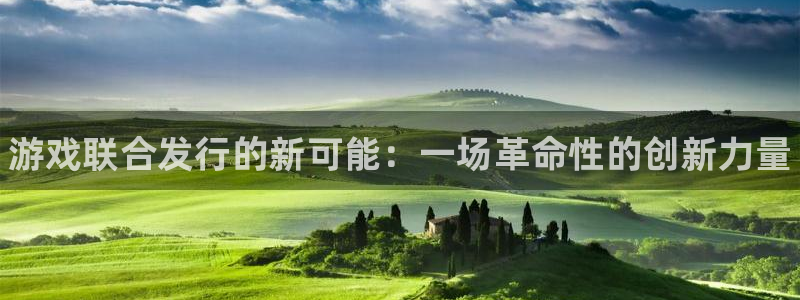 新城平台企业信息查询：游戏联合发行的新可能：一场革命性的创新力量