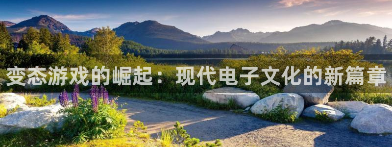 新城平台代理：变态游戏的崛起：现代电子文化的新篇章