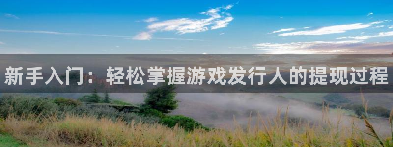 新城平台登录入口官网查询信息：新手入门：轻松掌握游戏发行人的提现过程